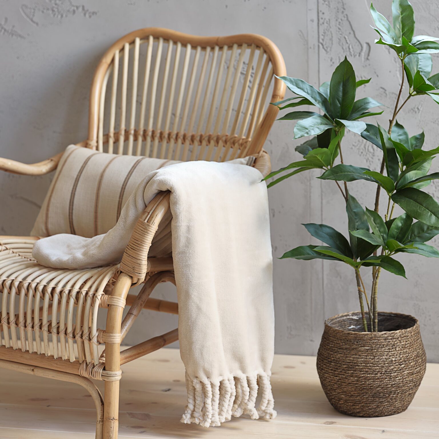 2138721536x1536 George V Magazine