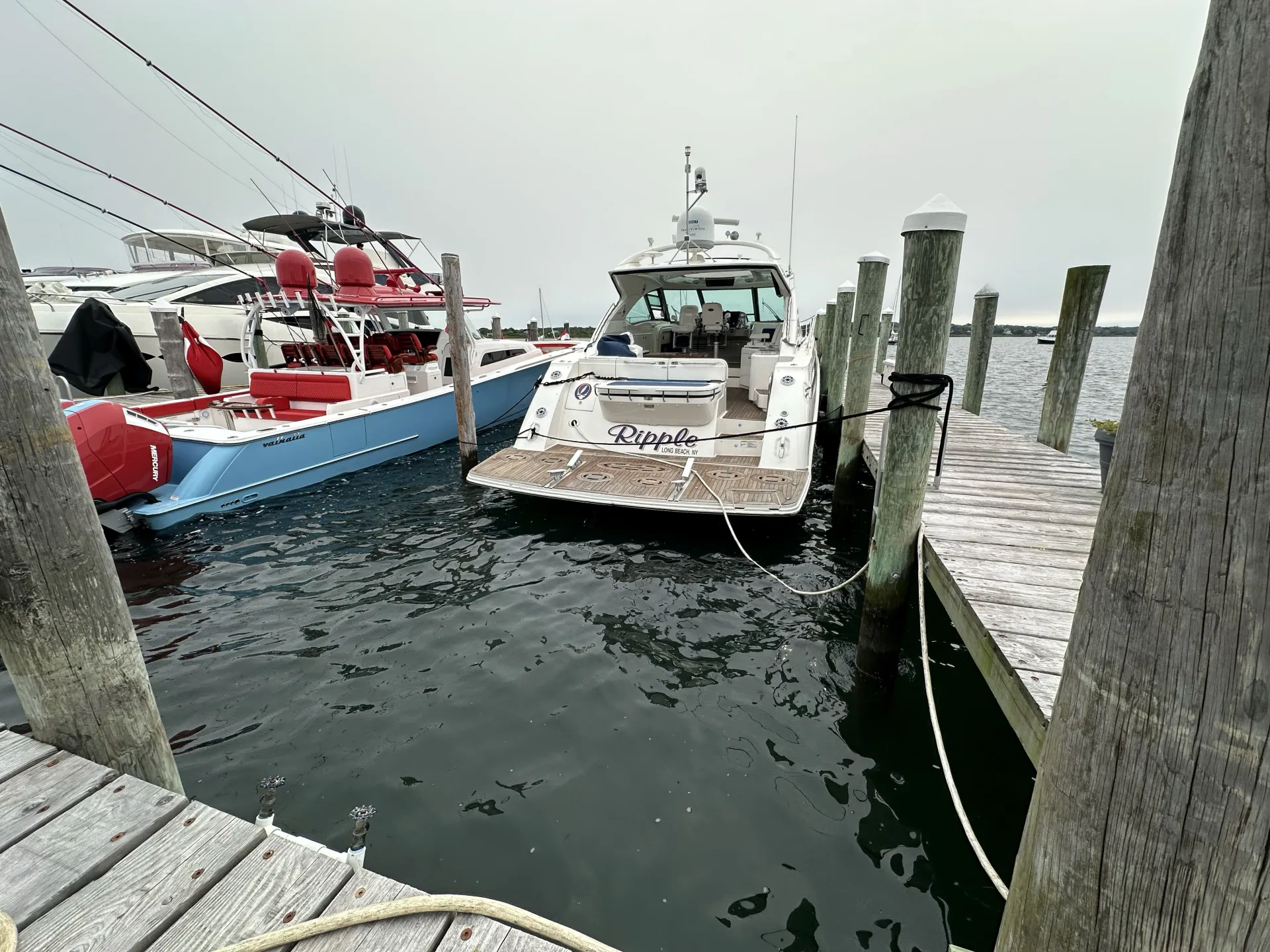 appearswhitepowderysubstanceseen1014834132389666 George V Magazine